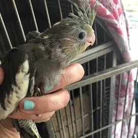 cd99ccfc6921e5d016053b3666850b17.jpg.sma