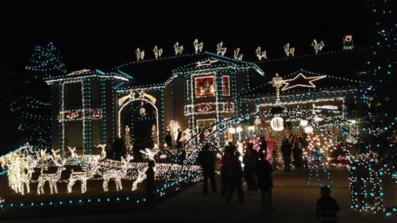 christmas house lights for sale