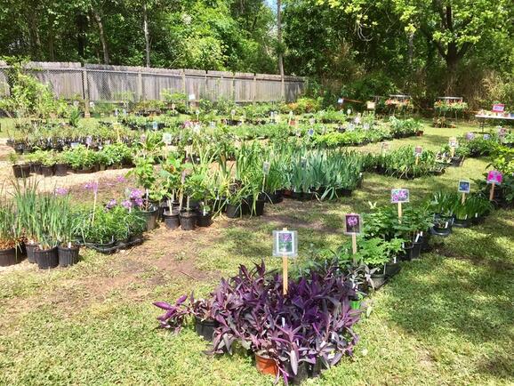 Apr 27 Metro Master Gardeners Plant Sale Nextdoor