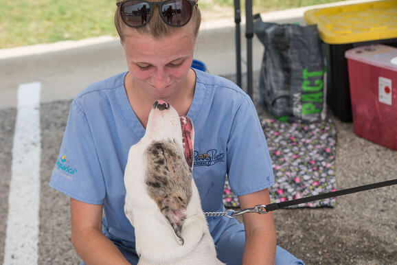 penny paws low cost pet vaccinations