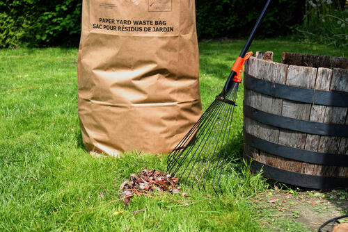 Separated Yard Waste Collection Service Will Resume the Week of March
