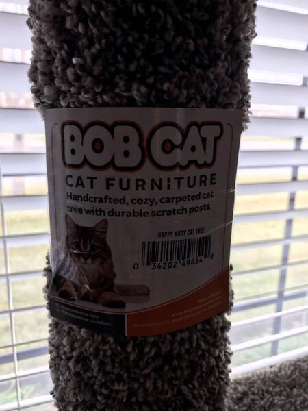 bobcat cat furniture costco