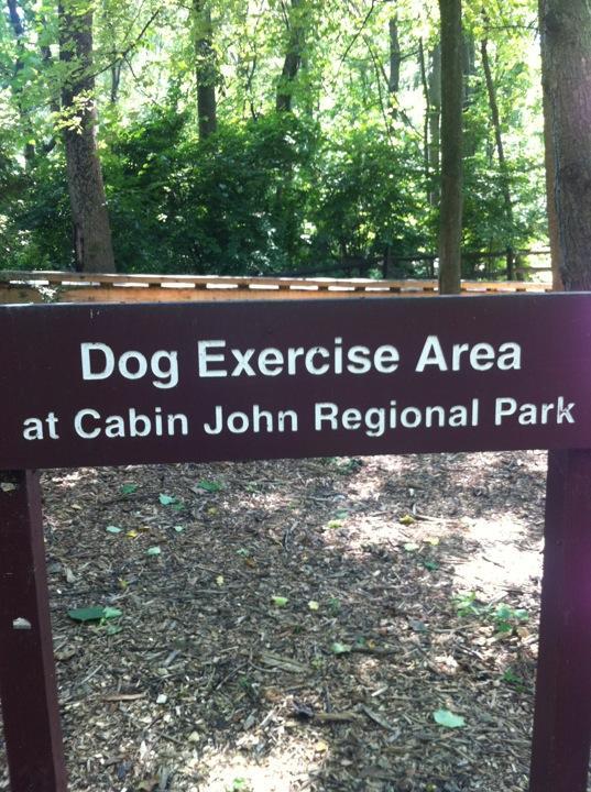 Maintenance Work Scheduled At Cabin John Dog Park Thru Oct 20