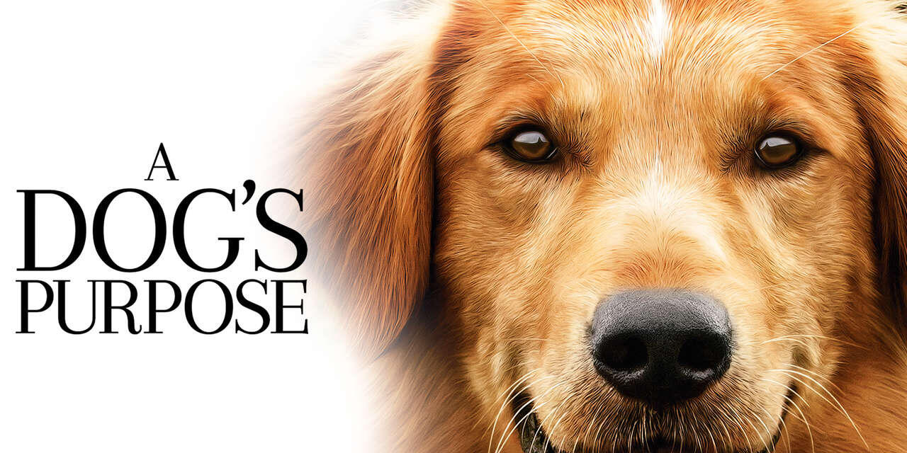 a dogs purpose full movie free