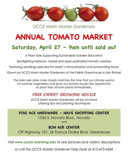 Apr 27 Marin Master Gardeners Tomato Market And Information