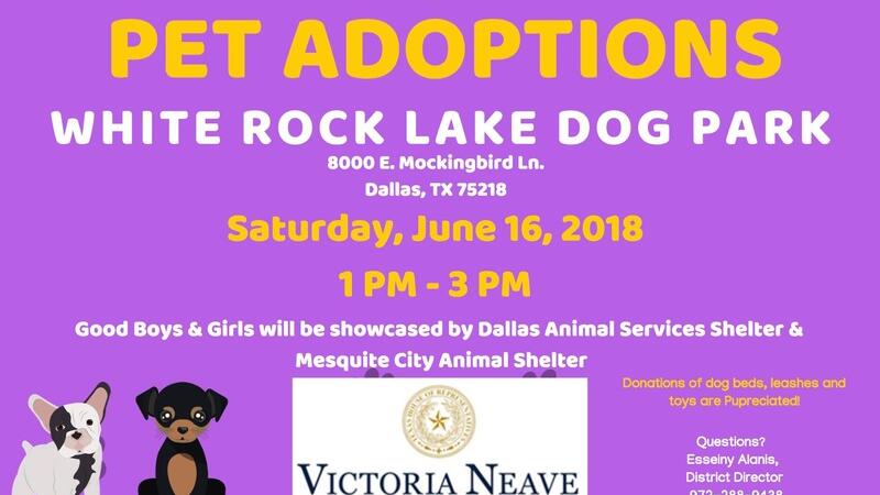Jun 16 Pet Adoptions At White Rock Lake Dog Park Nextdoor