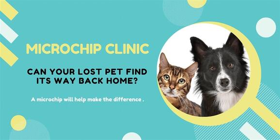 Petco microchipping hot sale