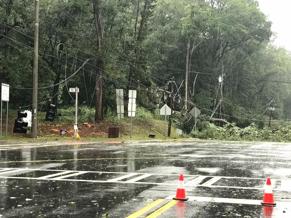 Down Trees And Power Lines City Of Decatur Mdash Nextdoor Nextdoor