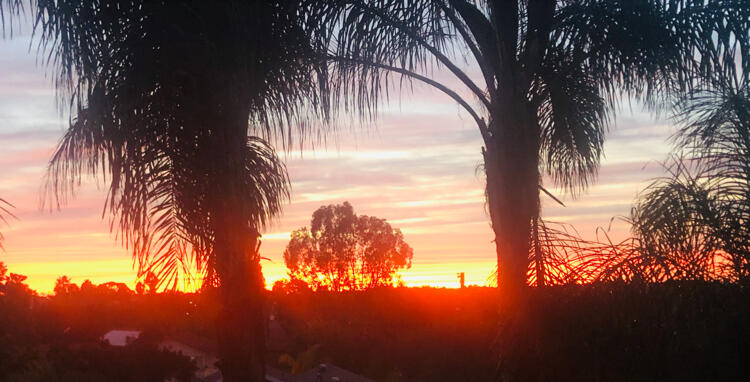 071d1a7fcc9ae3e978b93b8f831ad8e5